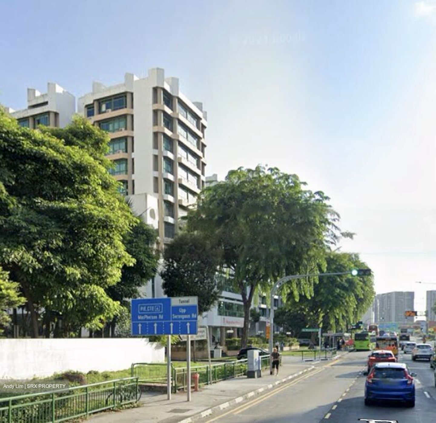 Serangoon Road (D12), Shop House #455324531